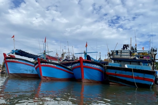 549 tàu cá của phường ven biển TPHCM tìm nơi trú ẩn tránh bão Kalmaegi