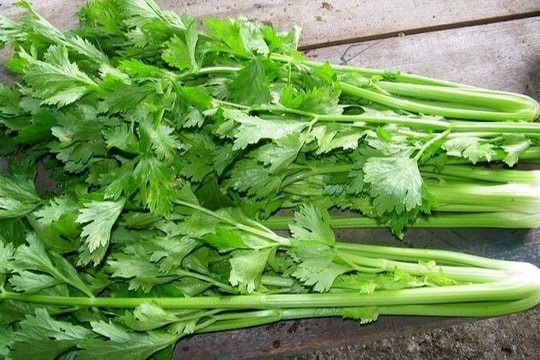 Khám phá công dụng bất ngờ của rau cần tây