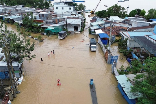 Triều cường tại tỉnh Đồng Tháp dâng cao gây ngập nước trên diện rộng