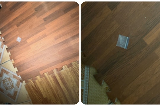 Bảo vệ trường tiểu học ở Hải Phòng tổ chức ‘bay lắc’ ngay nơi làm việc