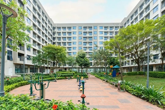 Bộ trưởng Xây dựng: Có hiện tượng đặt chỗ mua nhà ở xã hội, bán suất 200-500 triệu