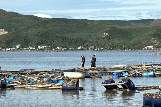 Khoanh nợ, giảm lãi suất cho bà con nuôi thuỷ sản bị ảnh hưởng bão số 13