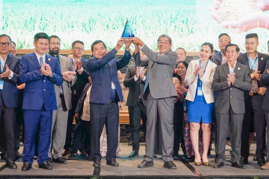 Gạo ST25 lần thứ 3 đạt giải nhất “Gạo ngon nhất thế giới"