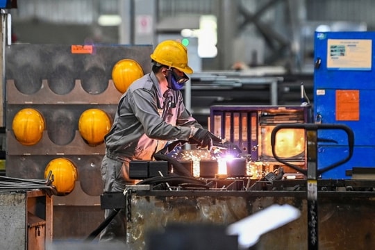 Hoàn thiện chính sách hỗ trợ phát triển doanh nghiệp tư nhân “sếu đầu đàn”