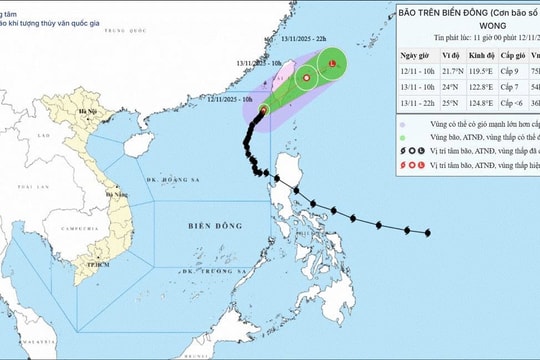 Bão số 14 giật cấp 11 khiến sóng biển dâng cao tới 7 mét