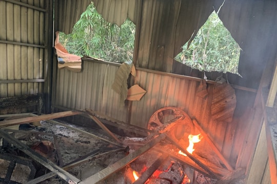 Chốt bảo vệ rừng bị đốt phá sau khi cưỡng chế nhổ cà phê trên đất rừng lấn chiếm