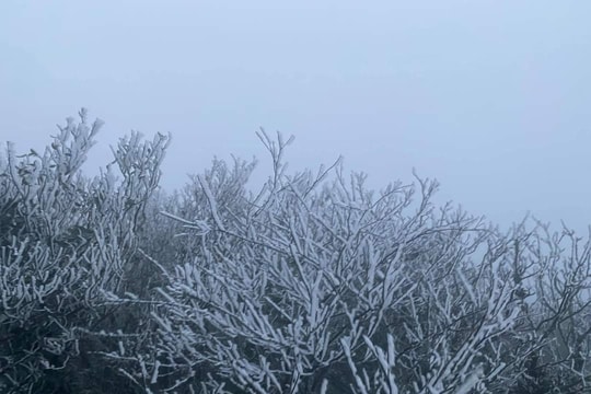 Thời tiết ngày 16/11: Bắc Bộ rét về đêm, Trung Bộ tiếp tục mưa lớn