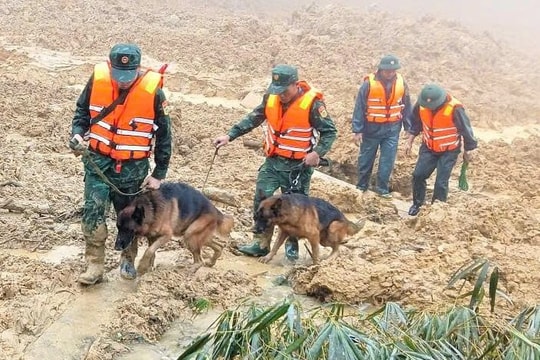 Tạm dừng tìm kiếm 3 nạn nhân mất tích trong vụ sạt lở núi kinh hoàng ở Đà Nẵng