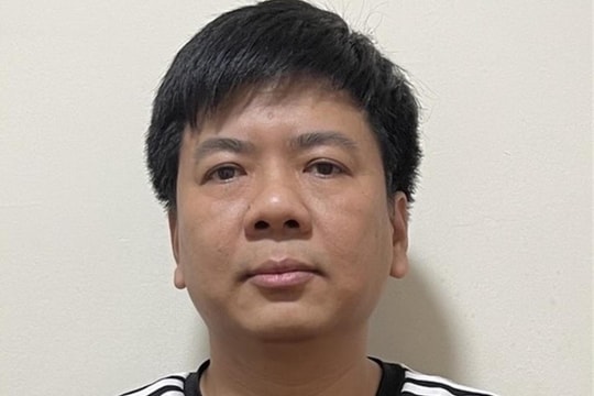 Thủ đoạn 'thổi' vốn điều lệ từ 32 tỷ lên gần 1.000 tỷ đồng của Shark Thuỷ