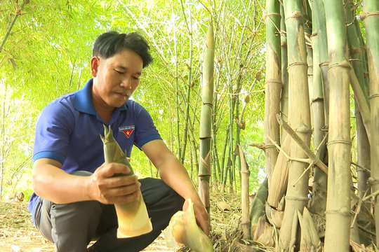 Những đảng viên tiên phong dẫn đường làm kinh tế