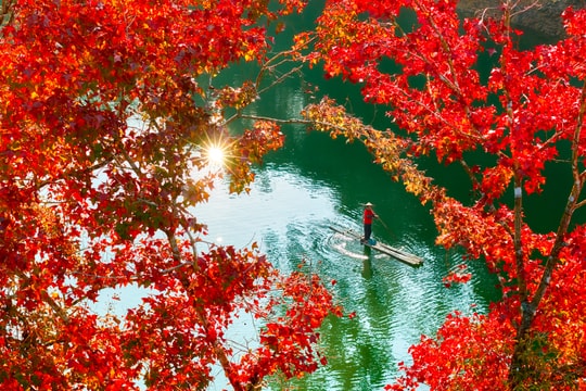 Hồ nhân tạo ở Cao Bằng rực rỡ như trời Âu mùa phong hương thay lá