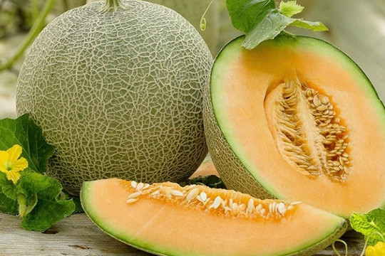Muốn vết thương mau lành, đừng bỏ qua 8 loại trái cây này