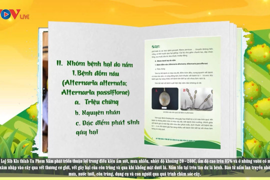 Video: Quy trình quản lý tổng hợp sâu, bệnh gây hại chính trên cây chanh leo