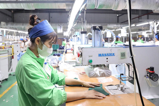 Nhiều doanh nghiệp tỉnh Phú Thọ tăng tốc, bứt phá ấn tượng năm 2025
