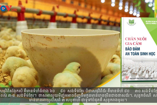 Trailer: Chăn nuôi gia cầm bảo đảm an toàn sinh học phần 2