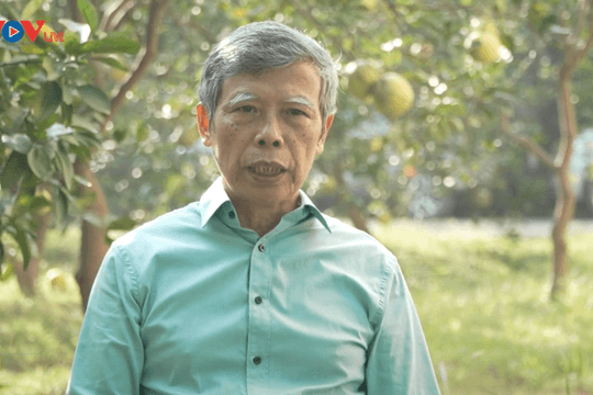 Video:Biện pháp phòng trị bệnh thán thư trên cây nhãn