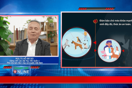 Video: Cách nhận biết và phòng tránh bệnh dại sau khi bị động vật cắn