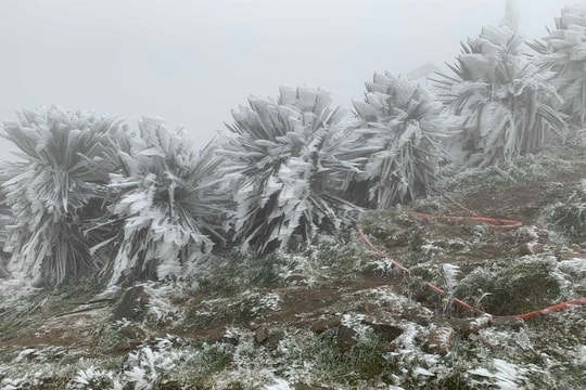 Dự báo thời tiết: Gió mùa Đông Bắc gây mưa dịp Tết Dương lịch, Bắc Bộ trời rét