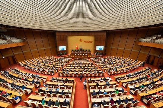 Nhiệm kỳ đặc biệt của Quốc hội khóa XV