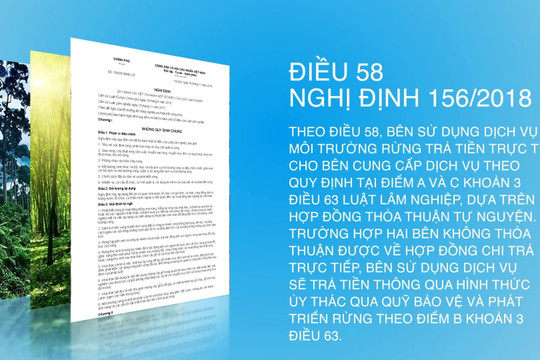 Video: Các vấn đề liên quan đến chi trả tiền dịch vụ môi trường rừng hiện nay