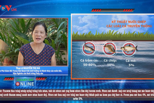 Trailer: Kỹ thuật nuôi ghép các loài cá truyền thống hiệu quả kinh tế cao