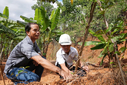 Đảng viên miền núi Đà Nẵng nêu gương trong phát triển kinh tế