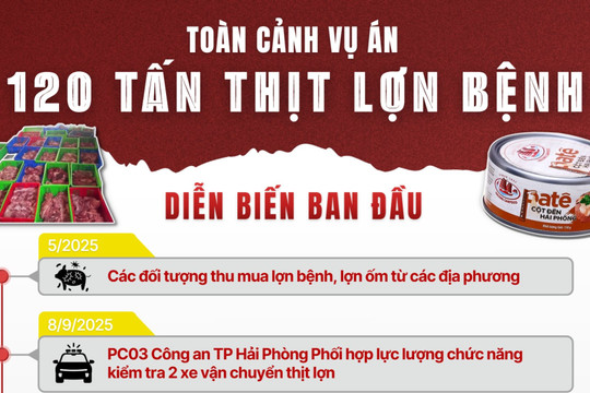 Toàn cảnh vụ án 120 tấn thịt lợn bệnh