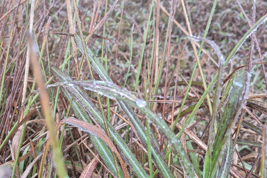 Nhiệt độ xuống 0,3°C, băng giá xuất hiện trên đỉnh Mẫu Sơn