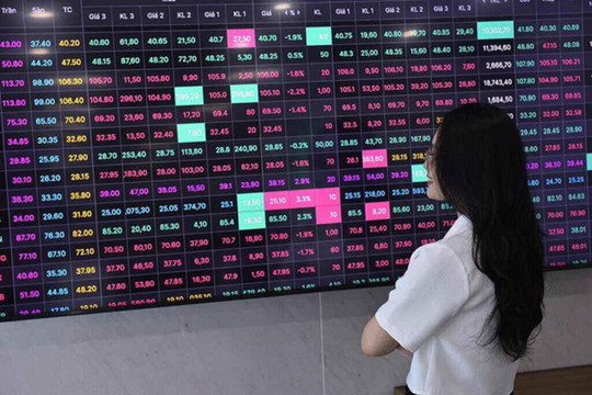 Chứng khoán giảm điểm, nhóm ngành nào có triển vọng đầu tư?