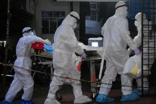 Virus Nipah nhóm A gây tử vong tới 75%, Bộ Y tế ra văn bản hỏa tốc