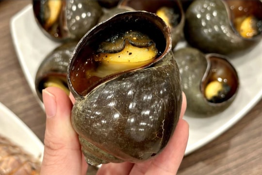Ăn ốc bươu ngâm 'thủy tinh lỏng' độc hại thế nào?
