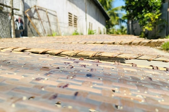 Hơi thở mùa Tết ở làng nghề bánh tráng Thuận Hưng