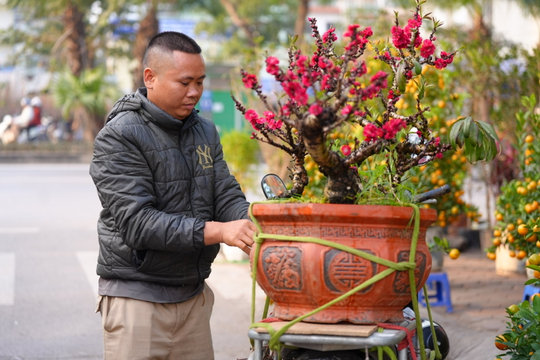 Giáp Tết lan đào tiền triệu, xe ôm “nín thở” trên từng chuyến xe mưu sinh