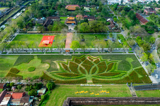 Đoá sen khổng lồ trong Kinh thành Huế và linh vật ngựa hút khách dịp cận Tết