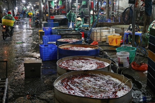 Giá cá chép tiễn Ông công ông Táo giảm, chợ lớn nhất Hà Nội vẫn vắng khách mua