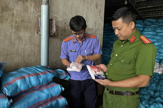 Khởi tố nữ giám đốc công ty sản xuất muối i-ốt giả quy mô lớn