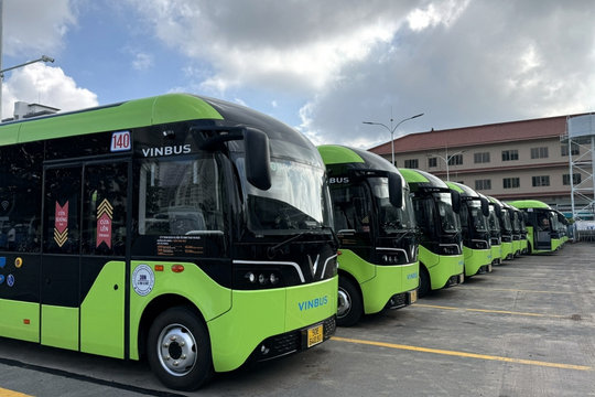 TP.HCM đưa vào hoạt động thêm 169 xe buýt điện từ 1/3