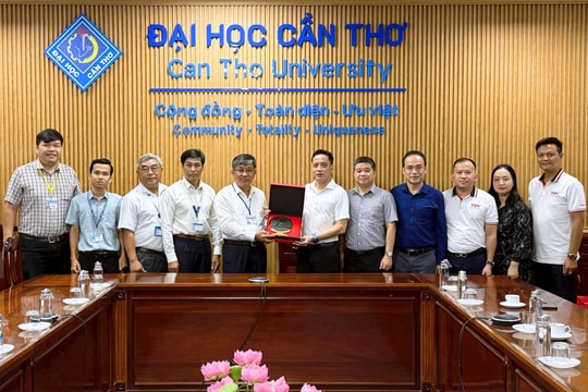 Futsal HDBank Sinh viên 2026: Sân chơi thể thao hấp dẫn dành cho sinh viên ĐBSCL