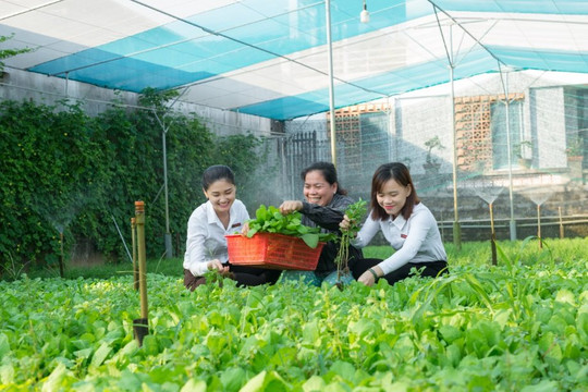 Agribank - Dòng vốn chủ lực góp phần thúc đẩy sản xuất, kinh doanh và tăng trưởng kinh tế
