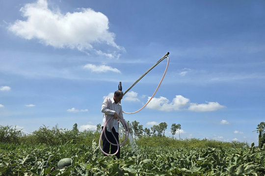 Tìm giải pháp đảm bảo an ninh nguồn nước cho ĐBSCL trước biến đổi khí hậu