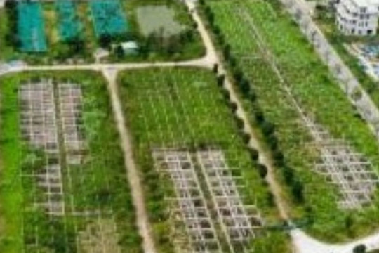 Điều tra mở rộng vụ lừa đảo mua bán đất nền "dự án" tại Công ty Đại Phúc Real
