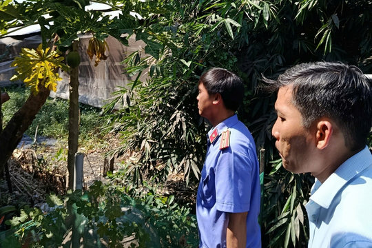 Viện kiểm sát vào cuộc vụ trại chăn nuôi gây ô nhiễm sau phản ánh của VOV