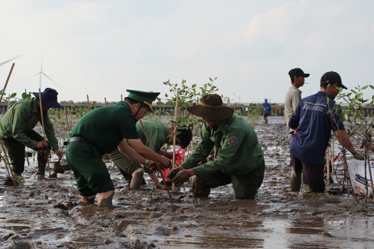 Cần Thơ phát động trồng 240.000 cây rừng, phục hồi hệ sinh thái ven biển