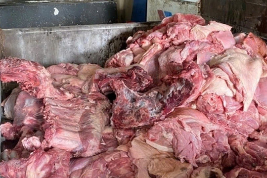 300 tấn thịt heo bệnh vào trường học: Cơ quan chủ quản nói gì?