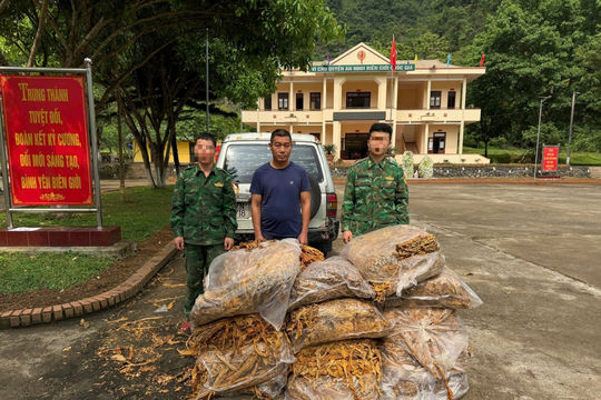 Thu giữ trên 600kg nguyên liệu thuốc lá, tiêu hủy gần 500 cây thuốc phiện