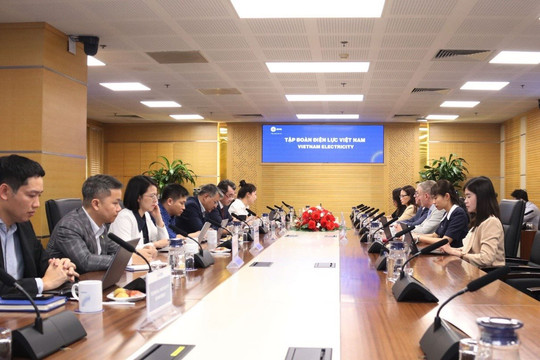Đoàn công tác Cơ quan Năng lượng nguyên tử Quốc tế (IAEA) làm việc với EVN