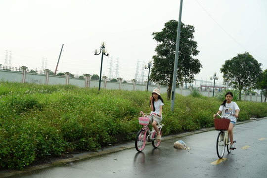 Vườn hoa Cao Bá Quát (Hà Nội): Từ “lá phổi xanh” thành khu đất hoang cỏ dại