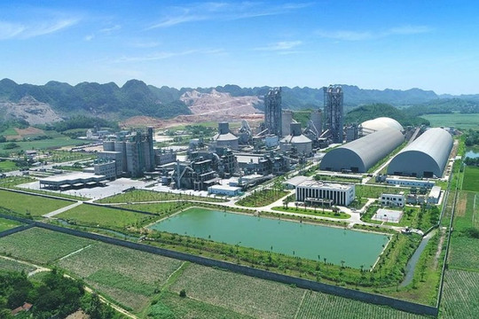 Bằng chất lượng ổn định, Xi măng Long Sơn vươn tầm quốc tế