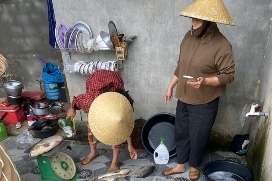 Nhiều nhà máy nước sạch ở Nghệ An tạm dừng lấy nước từ sông Lam do lo ngại ô nhiễm