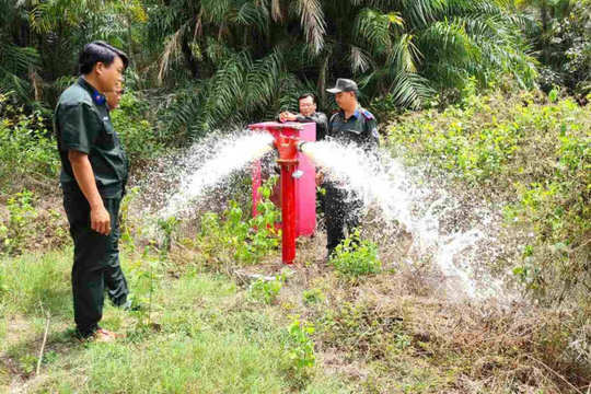 Hơn 50.500ha rừng khô hạn ở Cà Mau có nguy cơ xảy ra cháy
